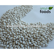 Supply Chinese White Beans, Navy Type